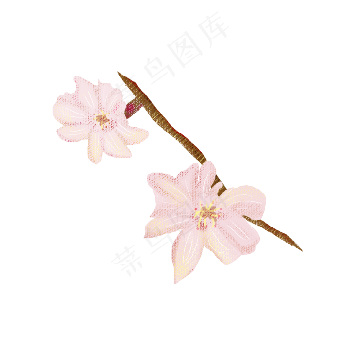 粉色樱花树枝PNG图片(2000X2000(DPI:300))psd模版下载