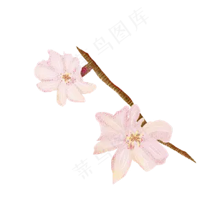粉色樱花树枝PNG图片