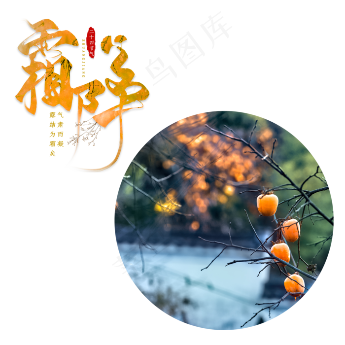 霜降植物树木(2000X2000(DPI:300))psd模版下载