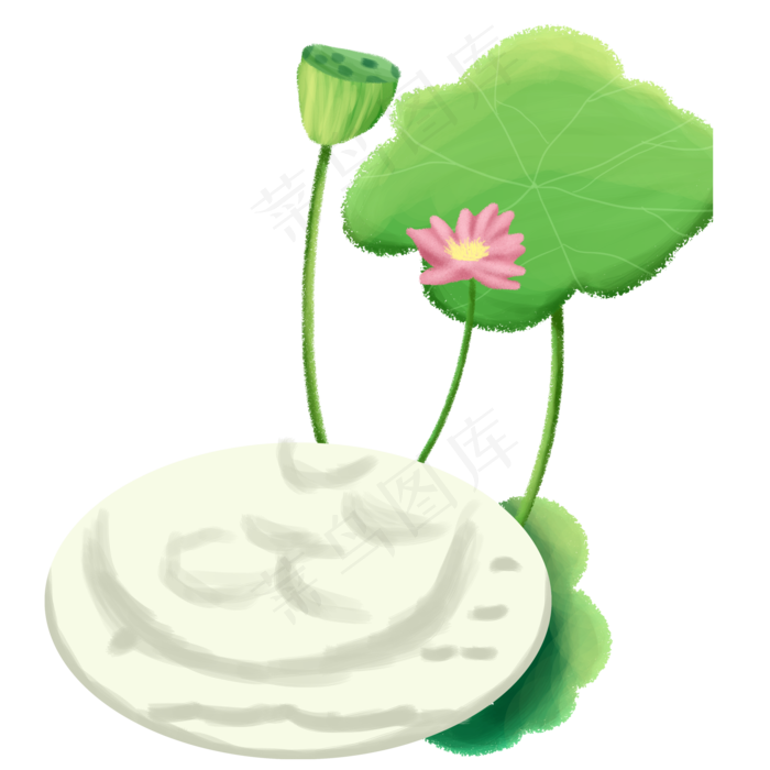 卡通的荷花花朵