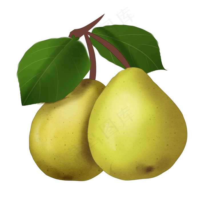 手绘卡通两个大鸭梨