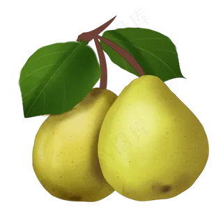 手绘卡通两个大鸭梨