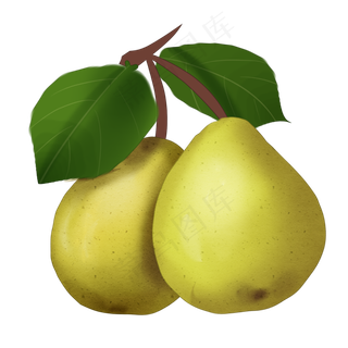 手绘卡通两个大鸭梨