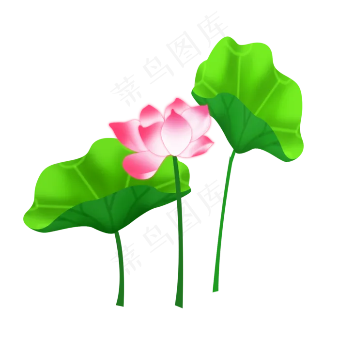 手绘卡通粉色荷花(2000X2000(DPI:300))psd模版下载
