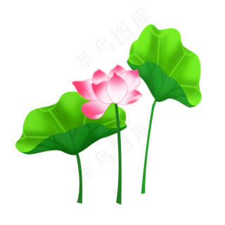 手绘卡通粉色荷花