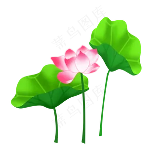 手绘卡通粉色荷花