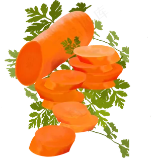 手绘水果蔬菜红萝卜与叶子