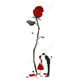 情人节情侣玫瑰