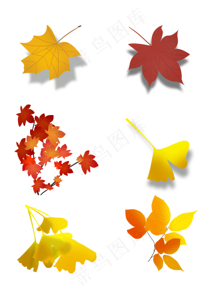 秋叶秋天落叶手绘可商用叶子元素,免抠元素