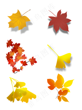 秋叶秋天落叶手绘可商用叶子元素,免抠元素