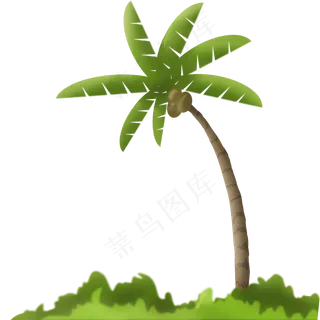 绿色的草地和椰树