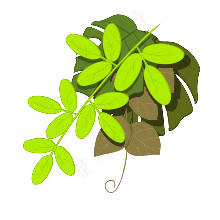 手绘绿色png植物(2000X2000(DPI:96))psd模版下载