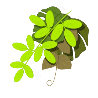 手绘绿色png植物