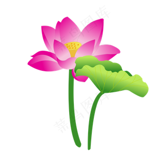 小清新卡通简约手绘荷花