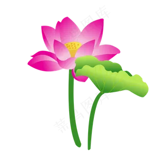 小清新卡通简约手绘荷花