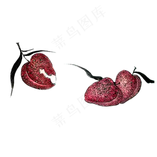 水墨国画荔枝鲜果甜蜜PNG