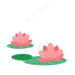 可爱小清新粉色荷花