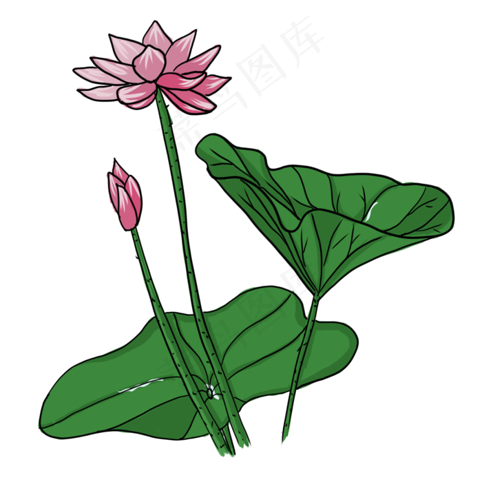 手绘中国风荷花PNG素材(2000X2000(DPI:300))psd模版下载