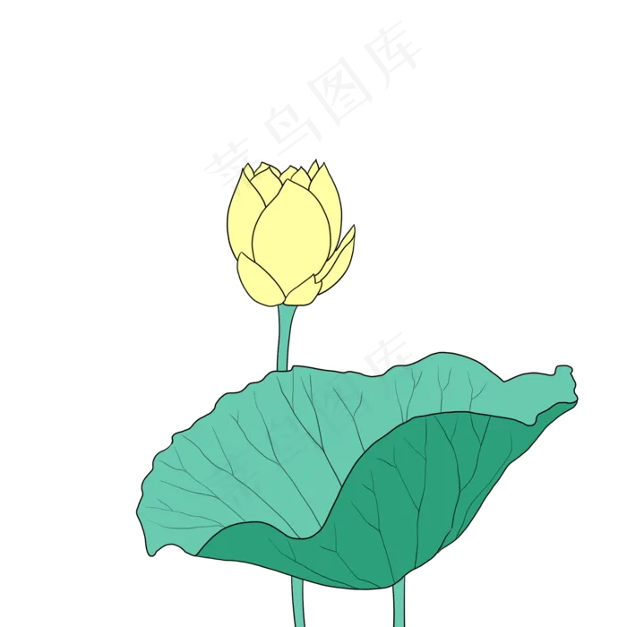 大暑荷花荷叶(2000X2000(DPI:300))psd模版下载