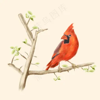 手绘站在树枝上的小鸟 手绘站在树枝上的小鸟