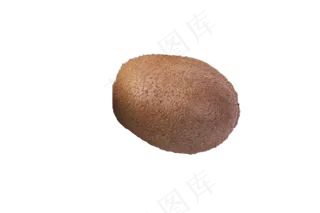 狐狸桃猕猴桃绿褐色