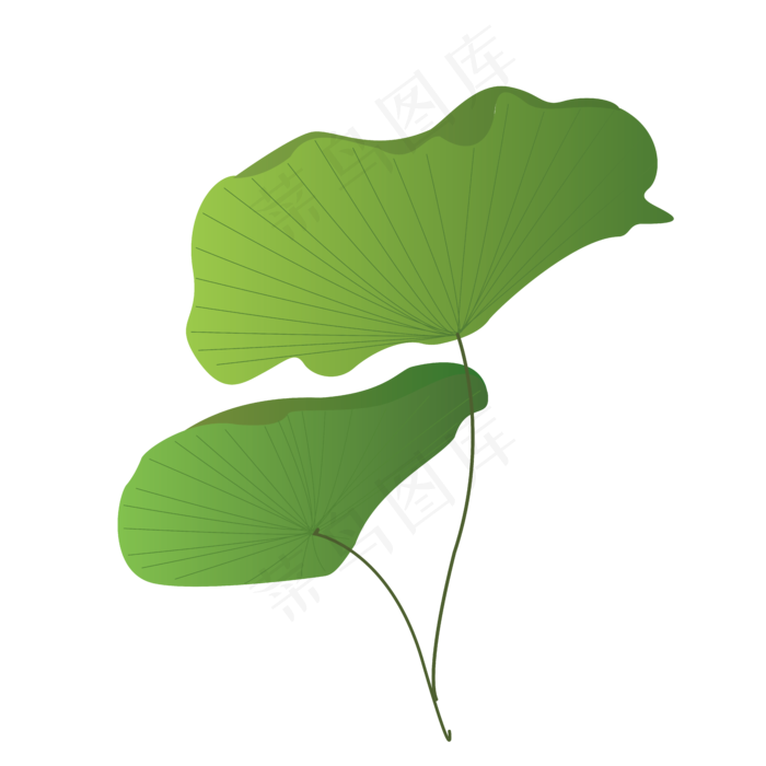 荷花季绿色植物荷叶可爱手绘清新(2000X2000(DPI:300))ai矢量模版下载