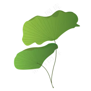 荷花季绿色植物荷叶可爱手绘清新