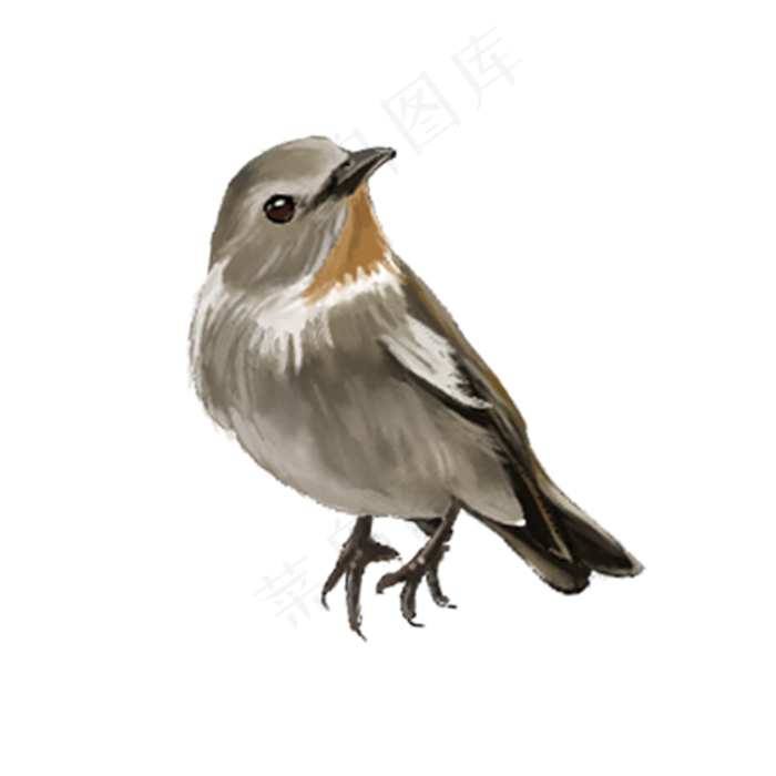 园林花鸟,免抠元素