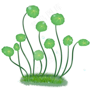 手绘中国风铜钱草水彩系