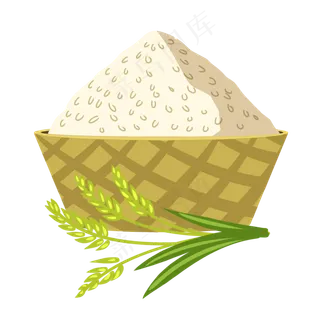 传统节气稻穗小满