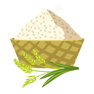 传统节气稻穗小满