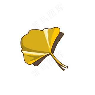 叶子植物小清新