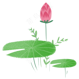 夏季荷花荷叶小清新
