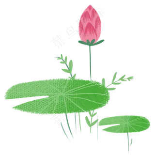 夏季荷花荷叶小清新