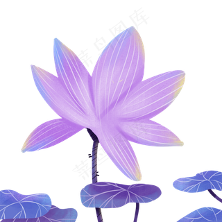 卡通紫色的荷花荷叶免扣图