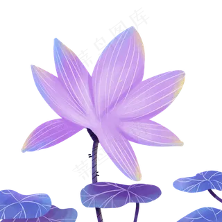 卡通紫色的荷花荷叶免扣图