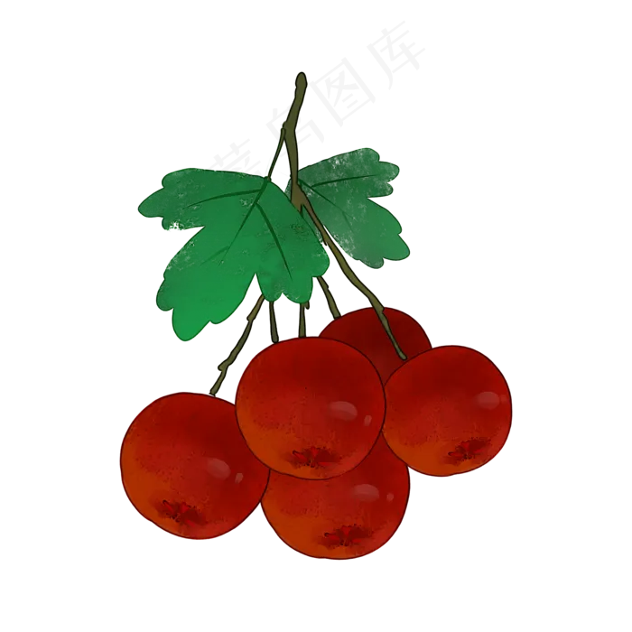 一挂山楂水果食物PNG素材(2000X2000(DPI:300))psd模版下载