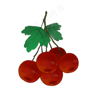 一挂山楂水果食物PNG素材