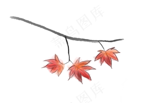 立秋古风红色枫叶