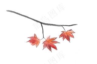 立秋古风红色枫叶