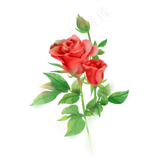水彩红玫瑰花朵(2000X2000)