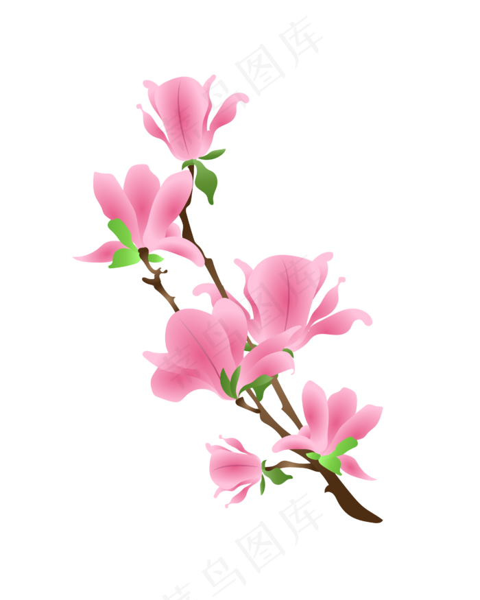 矢量免扣卡通海棠花,免抠元素