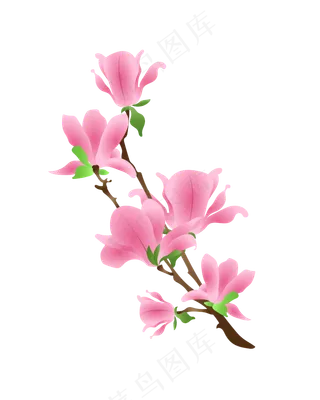 矢量免扣卡通海棠花,免抠元素