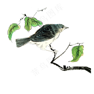 国画花鸟水墨蓝色雀鸟麻雀PNG春色,免抠元素