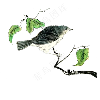 国画花鸟水墨蓝色雀鸟麻雀PNG春色,免抠元素