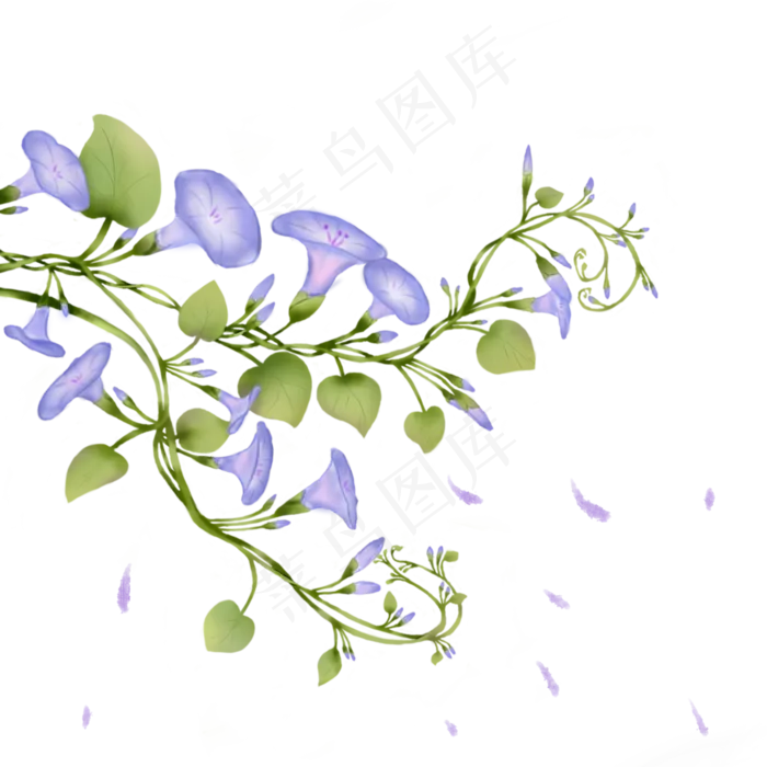 飘落的紫色牵牛花七夕情人节,免抠元素(2000*2000px 300 dpi )psd模版下载