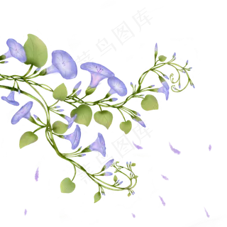 飘落的紫色牵牛花七夕情人节,免抠元素