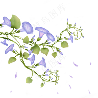 飘落的紫色牵牛花七夕情人节,免抠元素