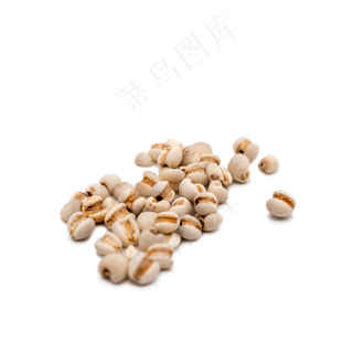 薏米粮食谷物实物拍摄,免抠元素
