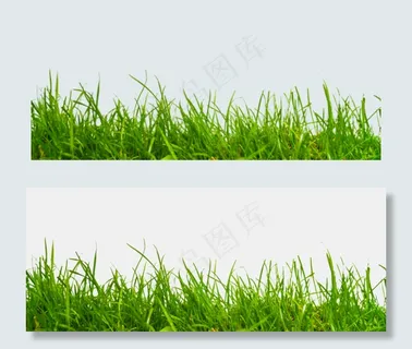 绿色植物小草,免抠元素